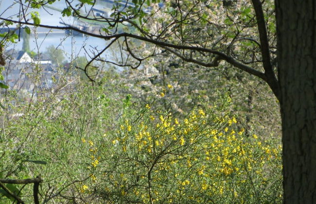 Foahrgaass 7a Modern Retreat - Foto 13