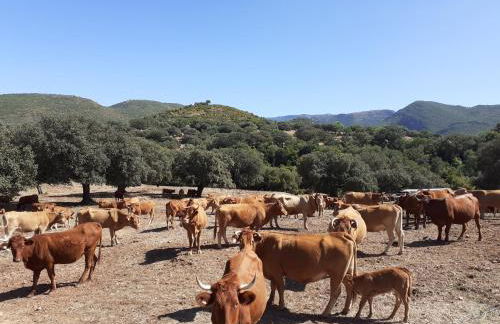 Apartamento Puerta al Mar - Foto 35