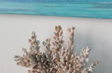 Acantilados de Los Gigantes, Islas Canarias, España - Foto 39