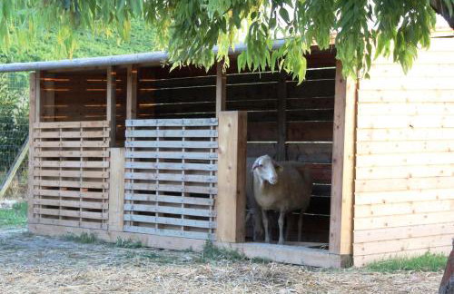 Agriturismo Terralieta - Photo 79