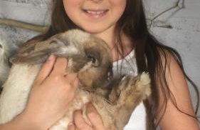 Agriturismo LaValleggia - Foto 141