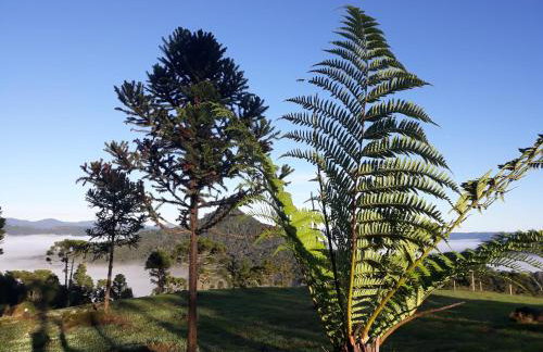 Pousada Flocos de Neve - Photo 33