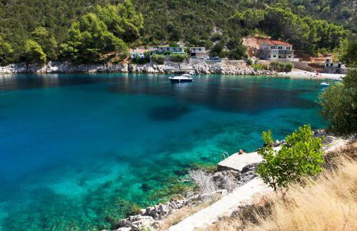 Robinson Srdelica - Foto 5