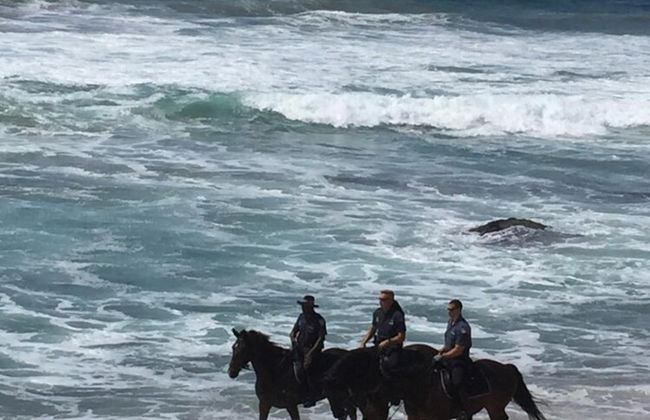 809 Umdloti Resort - Photo 33