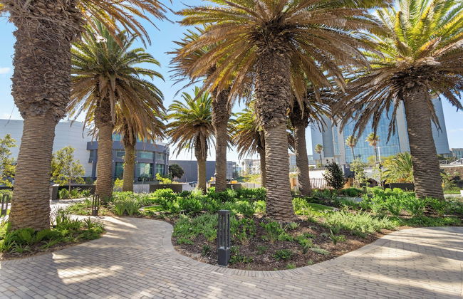 Nine Palms 211 - Foto 13