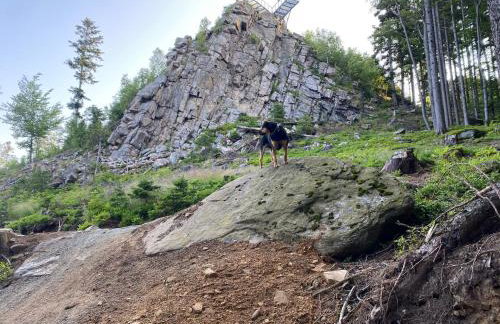 Domki Pod Lasem - Domek Brzozowy - Foto 55