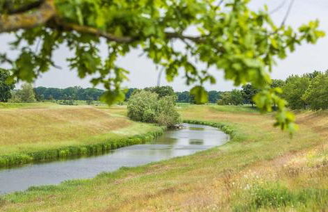 Reetdachhaus mit Elbblick - Foto 18