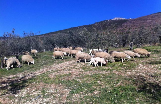 Farmhouse Near Lake Trasimeno With Pool - Foto 27