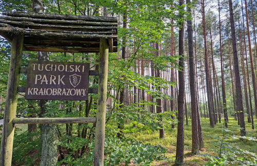 Domki przy jeziorze z prywatną plażą w Borach Tucholskich Pensjonat Alicja wczasy z dziećmi nowe luksusowe domki na skraju jeziora i lasu - Foto 18