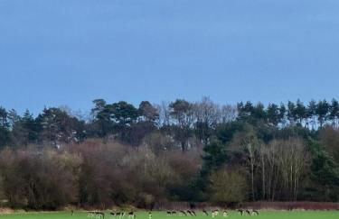 Das Blaue Haus - Foto 20