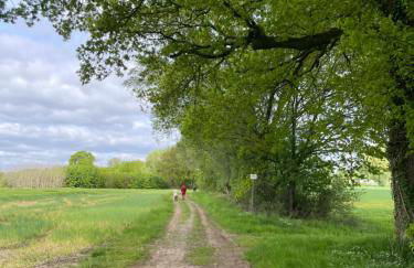 Ferienapartment Am Urwald - Foto 20