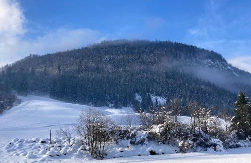 Traumhafte Wohnung im Chiemgau - Foto 23
