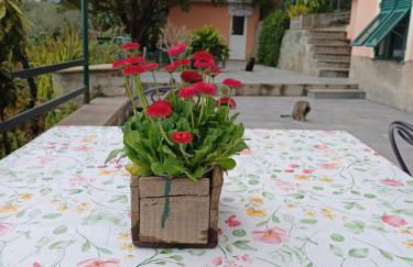 Ca Du Stea - Foto 27