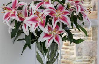 Finest Retreats - Middle Warble Stables - Foto 27