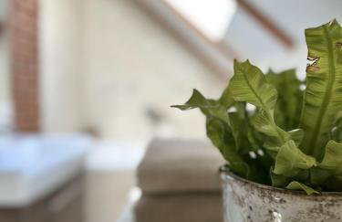 Ostoja Jeziorak Jezierzyce - Foto 41