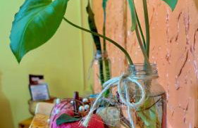 Casa Refúgio Cataratas by Grasi - Foto 32