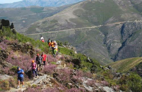 Apartamento Alegria - Foto 40