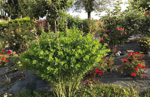 Casadelsale - Foto 23