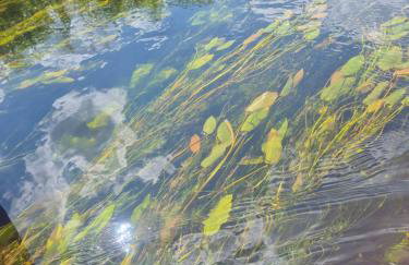 Oaza Relaksu Wigry -domek na wyłączność - Foto 44