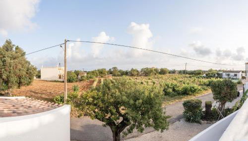 Casa Bananeiras - Photo 4