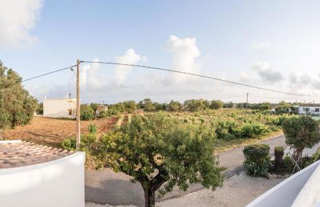 Casa Bananeiras - Foto 4