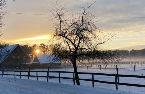 Wunderschöne Ferienwohnung auf dem Bauernhof - Foto 31