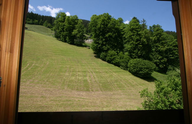 Schusterhäusl - Foto 19