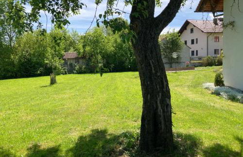 Souterrain Apartment mit Gartenblick - Foto 8