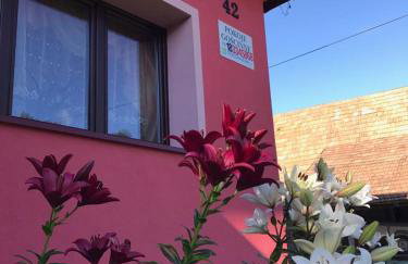 Malinowy Domek - Photo 66