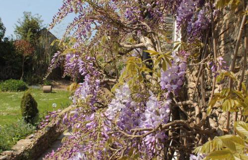 Unique Thatched Retreat near Salcombe and Beaches - Foto 43