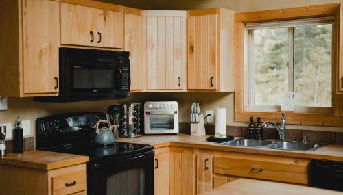 Cabin Minutes to Mt Rainier - EV, HotTub, 2 Queen and Twin - Foto 3