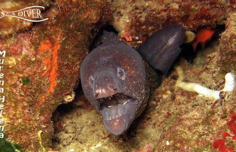Residenza sul Mare Baia Cornino - Foto 70