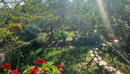 Apartman Dalija - Photo 4