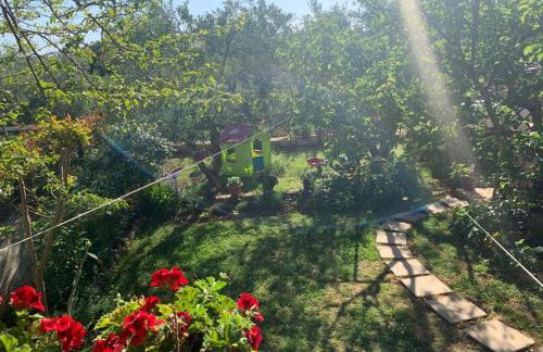 Apartman Dalija - Foto 4