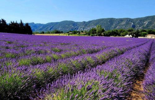 Gite Le Roma - Foto 33