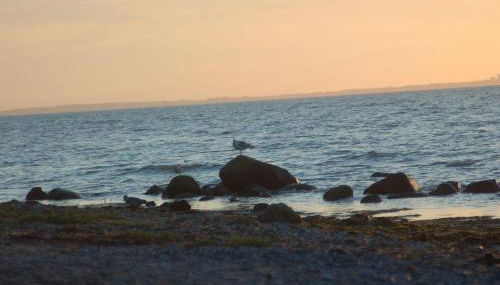 Ostsee Ferienoase 3-Raum-App./Typ 1 - Foto 4