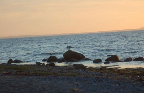 Ostsee-Ferienoase-3-Raum-App-Typ-1 - Foto 4