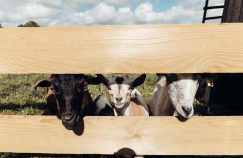 Maison de campagne en Anjou - Foto 26