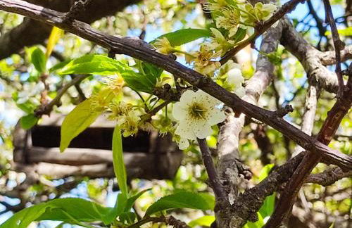 Appartamento nel parco - Foto 52