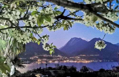 Apartment Green House-2 by Interhome - Foto 21