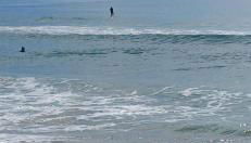 Loft Novo Campeche - Foto 2