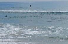 Loft Novo Campeche - Foto 2