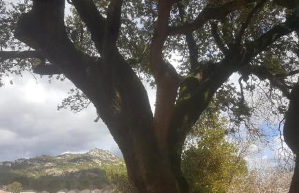 Charmant Appartement Neuf Le Taoume - Foto 6