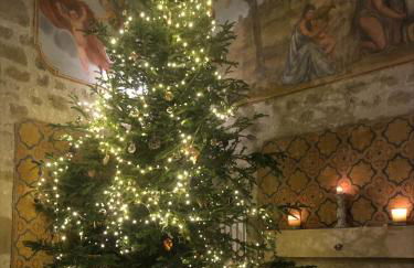 Chateau de Lamothe d'Anthe - Foto 16