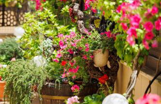 El Refugio - Foto 16