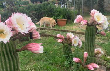 Villa Collina - Foto 20