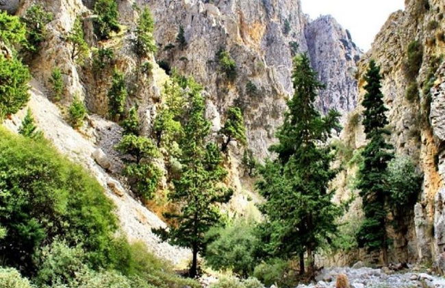 Garganta de Imbros - Tour de Dia Inteiro - Foto 1