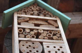 Quinta do Casal da Bica - Foto 41