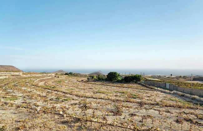 Finca Casa Eva Entire Accommodation - Photo 16