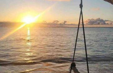 Breezy Beachfront Bali-Style Haven 180 Degree OceanView - Photo 36